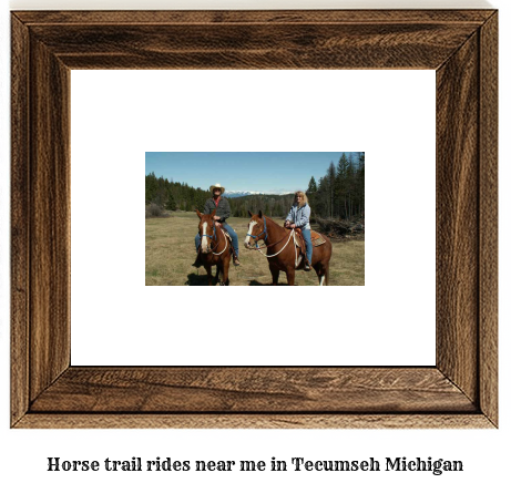 horse trail rides near me in Tecumseh, Michigan